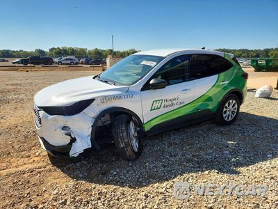 2025 FORD ESCAPE ACTIVE 1FMCU0GN9SUB49436 - główne zdjęcie licytacji z USA - miniatura