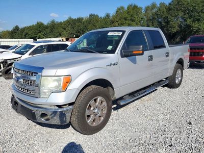 2014 FORD F150 SUPERCREW 1FTFW1CF6EKD56852 - główne zdjęcie licytacji z USA - miniatura