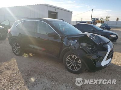 Czwarte zdjęcie samochodu z boku: 2020 FORD ESCAPE SEL VIN:1FMCU9H95LUA40057 - miniatura