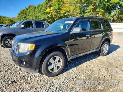 2010 FORD ESCAPE XLT 1FMCU9DGXAKC24939 - główne zdjęcie licytacji z USA - miniatura