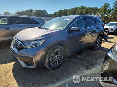 2022 HONDA CR-V EX 2HKRW2H51NH601008 - główne zdjęcie licytacji z USA - miniatura