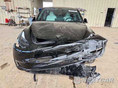 Piąte zdjęcie samochodu w środku: 2025 TESLA MODEL Y VIN:7SAYGDED4SF232514 - miniatura