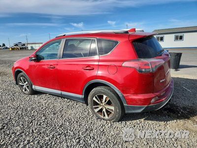 Drugie zdjęcie samochodu z przodu: 2016 TOYOTA RAV4 XLE VIN:2T3RFREV0GW538265 - miniatura