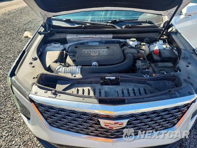 Zdjęcie 12 z 13 samochodu: 2024 CADILLAC XT4 PREMIUM LUXURY VIN:1GYFZDR43RF144501 - miniatura