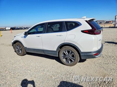 Drugie zdjęcie samochodu z przodu: 2022 HONDA CR-V EX VIN:5J6RT6H52NL004939 - miniatura