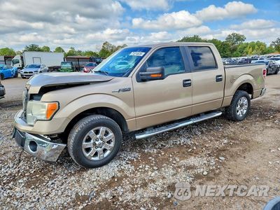 2014 FORD F150 SUPERCREW 1FTFW1CF1EKF69286 - główne zdjęcie licytacji z USA - miniatura