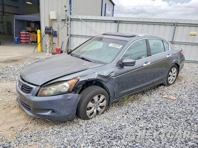 2008 HONDA ACCORD EXL 1HGCP36838A078285 - główne zdjęcie licytacji z USA - miniatura