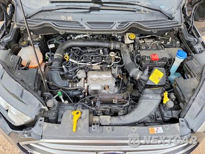 Zdjęcie 12 z 13 samochodu: 2018 FORD ECOSPORT SE VIN:MAJ3P1TE6JC217273 - miniatura