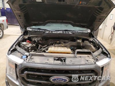 Zdjęcie 11 z 12 samochodu: 2022 FORD F150 SUPERCREW VIN:1FTEW1EP5NKD78116 - miniatura