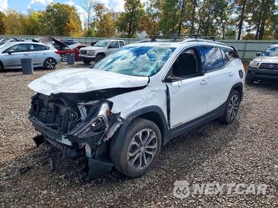 2019 GMC TERRAIN SLT 3GKALVEX3KL362557 - główne zdjęcie licytacji z USA - miniatura