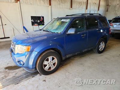2010 FORD ESCAPE XLT 1FMCU9DG2AKD17499 - główne zdjęcie licytacji z USA - miniatura
