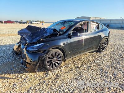 2025 TESLA MODEL Y 7SAYGDEF7SF312598 - główne zdjęcie licytacji z USA - miniatura