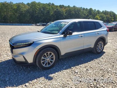 2025 HONDA CR-V EXL 7FARS3H78SE002298 - główne zdjęcie licytacji z USA - miniatura