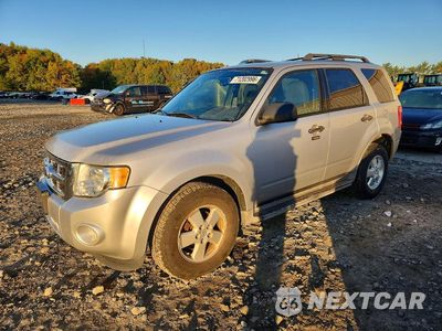 2011 FORD ESCAPE XLT 1FMCU9DG9BKB43528 - główne zdjęcie licytacji z USA - miniatura