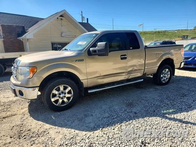 2013 FORD F150 SUPER CAB 1FTFX1EF9DFC78066 - główne zdjęcie licytacji z USA - miniatura
