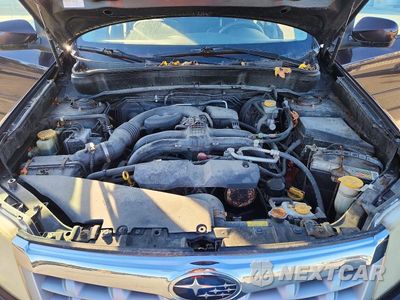 Zdjęcie 11 z 12 samochodu: 2013 SUBARU FORESTER VIN:JF2SHADC4DH401135 - miniatura