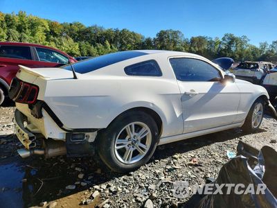 Trzecie zdjęcie samochodu z tyłu: 2013 FORD MUSTANG VIN:1ZVBP8AM0D5231488 - miniatura