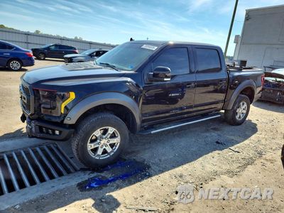 2019 FORD F150 RAPTOR 1FTFW1RG9KFB33791 - główne zdjęcie licytacji z USA - miniatura