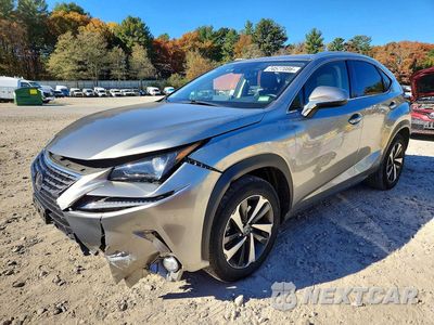 2020 LEXUS NX 300H JTJGJRDZ0L2142802 - główne zdjęcie licytacji z USA - miniatura