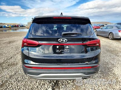 Zdjęcie 6 z 12 samochodu: 2023 HYUNDAI SANTA FE SE VIN:5NMS14AJ3PH523222 - miniatura