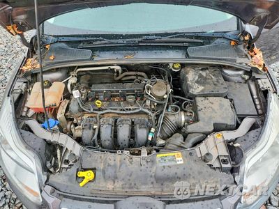 Zdjęcie 11 z 12 samochodu: 2014 FORD FOCUS SE VIN:1FADP3K21EL271044 - miniatura