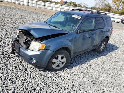 2010 FORD ESCAPE XLT 1FMCU0DG0AKB42939 - główne zdjęcie licytacji z USA - miniatura