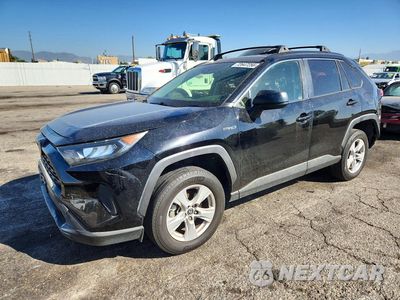 2019 TOYOTA RAV4 LE JTMLWRFV0KD015712 - główne zdjęcie licytacji z USA - miniatura