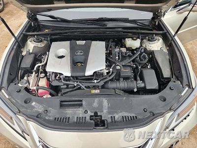 Zdjęcie 11 z 12 samochodu: 2019 LEXUS ES 300H VIN:JTHB21B18K2037978 - miniatura