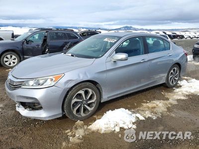 2017 HONDA ACCORD EX 1HGCR2F74HA011769 - główne zdjęcie licytacji z USA - miniatura