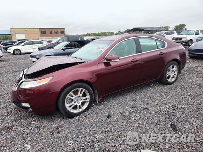 2009 ACURA TL 19UUA86209A021560 - główne zdjęcie licytacji z USA - miniatura
