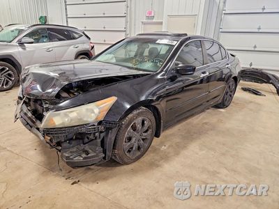 2009 HONDA ACCORD EXL 1HGCP368X9A008624 - główne zdjęcie licytacji z USA - miniatura
