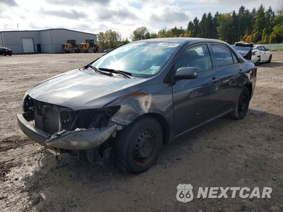 2010 TOYOTA COROLLA LE 1NXBU4EE9AZ372127 - główne zdjęcie licytacji z USA - miniatura