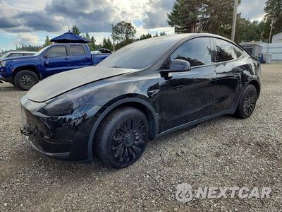 2023 TESLA MODEL Y 7SAYGDEE4PF859861 - główne zdjęcie licytacji z USA - miniatura