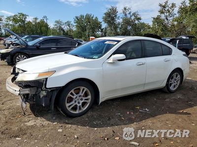 2009 ACURA TL 19UUA86519A005555 - główne zdjęcie licytacji z USA - miniatura