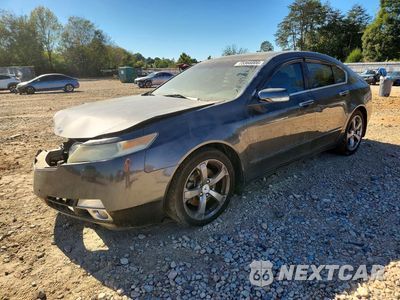 2009 ACURA TL 19UUA96559A002552 - główne zdjęcie licytacji z USA - miniatura