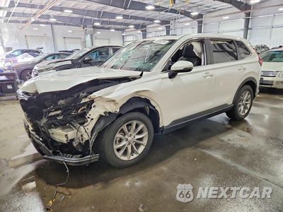 2024 HONDA CR-V EX 5J6RS4H48RL009034 - główne zdjęcie licytacji z USA - miniatura