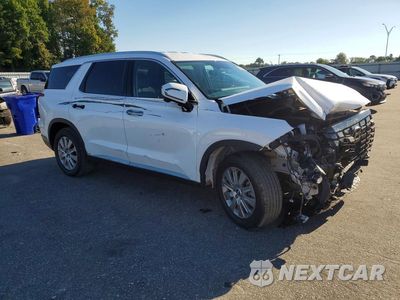 Czwarte zdjęcie samochodu z boku: 2025 HYUNDAI PALISADE SEL VIN:KM8R24GE6SU893941 - miniatura