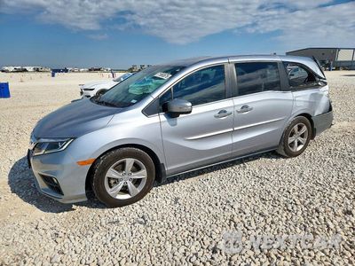 2020 HONDA ODYSSEY EXL 5FNRL6H78LB022935 - główne zdjęcie licytacji z USA - miniatura