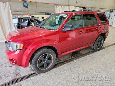 2012 FORD ESCAPE XLT 1FMCU9D72CKA73193 - główne zdjęcie licytacji z USA - miniatura