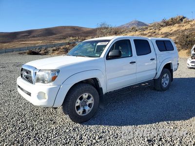 2011 TOYOTA TACOMA V6 3TMLU4ENXBM068321 - główne zdjęcie licytacji z USA - miniatura