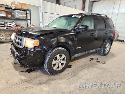 2010 FORD ESCAPE HYBRID 1FMCU5K35AKB40049 - główne zdjęcie licytacji z USA - miniatura