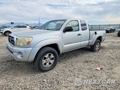 2006 TOYOTA TACOMA V6 5TEUU42N06Z302287 - główne zdjęcie licytacji z USA - miniatura
