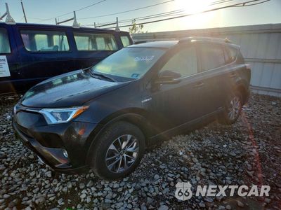 2016 TOYOTA RAV4 HV XLE JTMRJREV2GD011226 - główne zdjęcie licytacji z USA - miniatura
