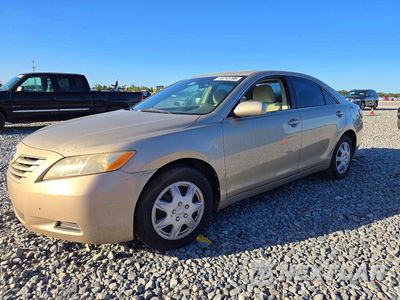 2009 TOYOTA CAMRY LE 4T1BE46K69U379985 - główne zdjęcie licytacji z USA - miniatura