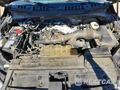 Zdjęcie 11 z 12 samochodu: 2020 FORD F150 SUPERCREW VIN:1FTEW1CP0LKD01167 - miniatura