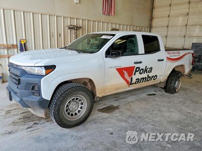2023 CHEVROLET COLORADO 1GCPSBEK9P1181117 - główne zdjęcie licytacji z USA - miniatura
