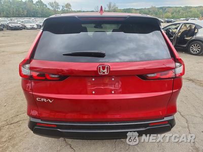 Zdjęcie 6 z 14 samochodu: 2024 HONDA CR-V EX VIN:7FARS4H43RE009780 - miniatura