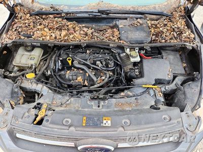 Zdjęcie 12 z 13 samochodu: 2013 FORD ESCAPE SE VIN:1FMCU0GX5DUC78391 - miniatura