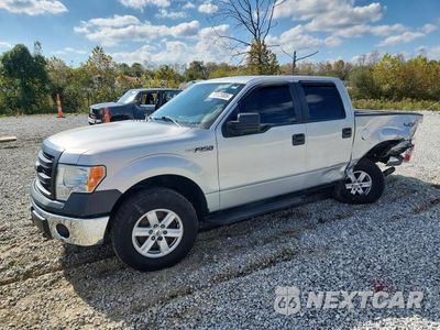 2014 FORD F150 SUPERCREW 1FTFW1EF7EKE88371 - główne zdjęcie licytacji z USA - miniatura