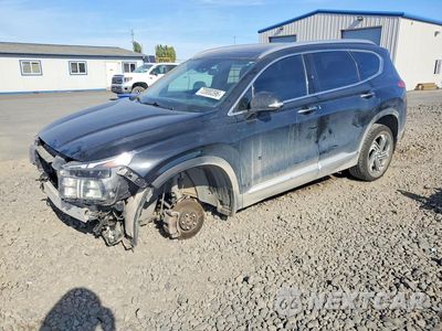 2023 HYUNDAI SANTA FE SEL PREMIUM 5NMS3DAJ9PH558776 - główne zdjęcie licytacji z USA - miniatura
